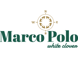 Marco Polo large-leafed white clover logo